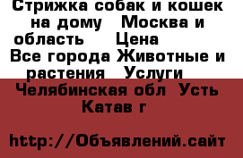 Стрижка собак и кошек на дому.  Москва и область.  › Цена ­ 1 200 - Все города Животные и растения » Услуги   . Челябинская обл.,Усть-Катав г.